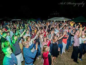 Party In The ParkHurst