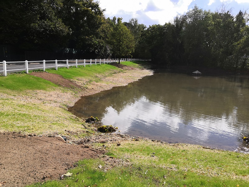 Hurst village pond grass